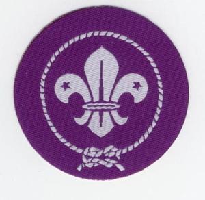Plakietka WOSM