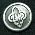 Znaczek ZHP logo